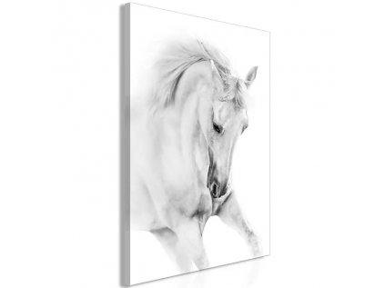 Obraz - White Horse (1 Part) Vertical