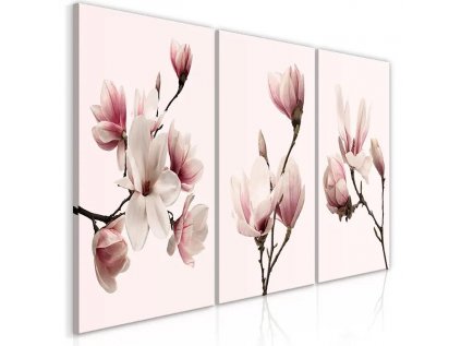 Obraz - Spring Magnolias (3 Parts)