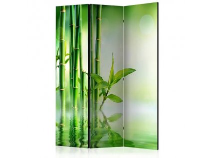 Paraván - Green Bamboo [Room Dividers]