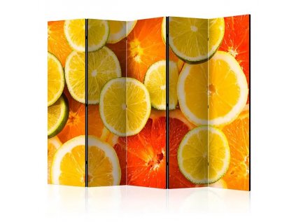 Paraván - Citrus fruits II [Room Dividers]