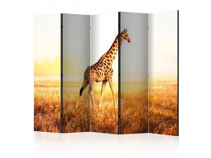 Paraván - giraffe - walk II [Room Dividers]