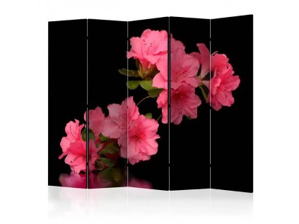 Paraván - Azalea in Black II [Room Dividers]