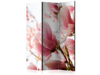 Paraván - Pink magnolia [Room Dividers]