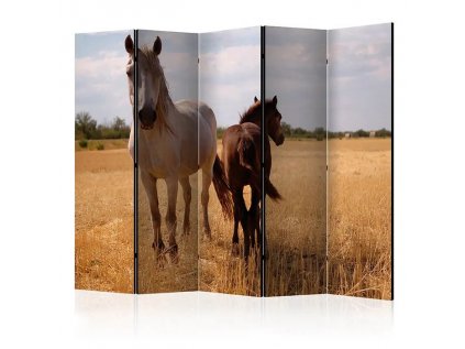 Paraván - Horse and foal II [Room Dividers]