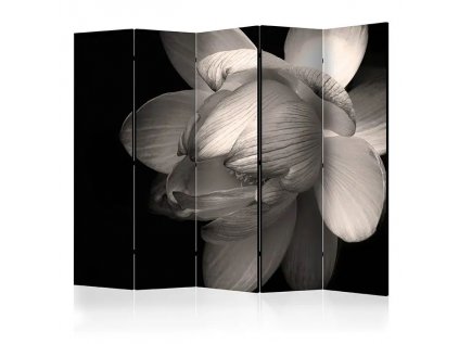 Paraván - Lotus flower II [Room Dividers]