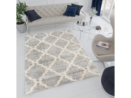 Shaggy koberec Versa - rozmer 120x170