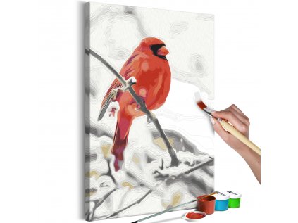 Maľovanie podľa čísiel - Red Bird