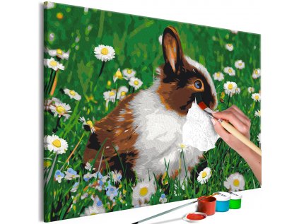 Maľovanie podľa čísiel - Rabbit in the Meadow