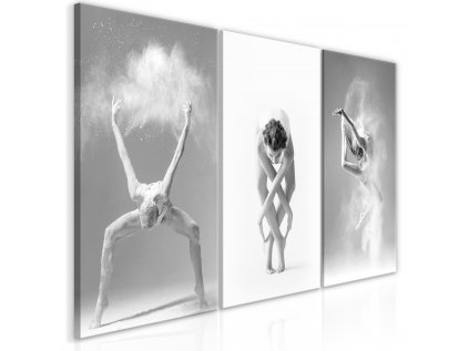 Obraz - Ballet (Collection)