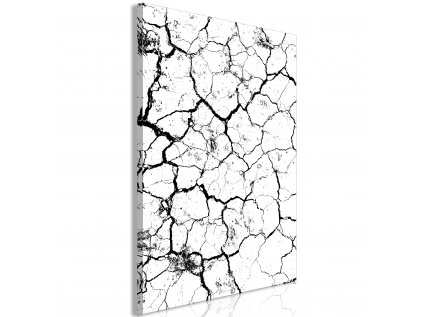 Obraz - Cracked Earth (1 Part) Vertical