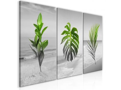 Obraz - Plants (Collection)
