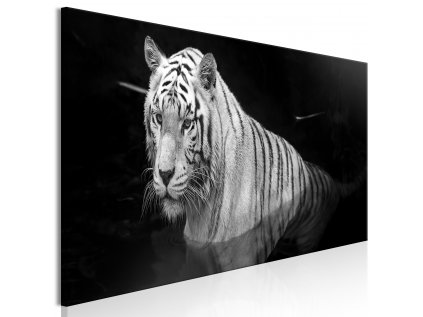 Obraz - Shining Tiger (1 Part) Black and White Narrow