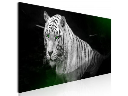 Obraz - Shining Tiger (1 Part) Green Narrow