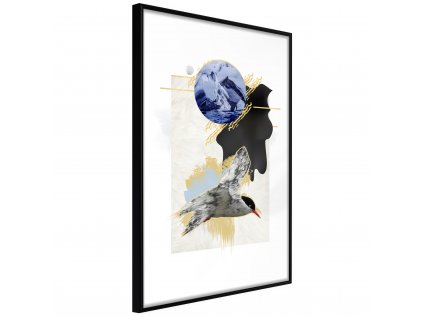 Plagát - Antarctic Tern [Poster]