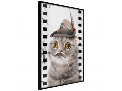 Plagát - Cat In Hat [Poster]