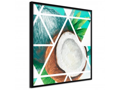 Plagát - Coconut (Square) [Poster]
