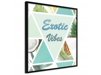 Plagát - Exotic Vibes (Square) [Poster]