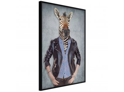 Plagát - Zebra Ewa [Poster]