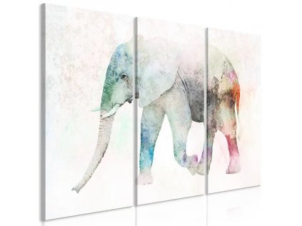 Obraz - Painted Elephant (3 Parts)