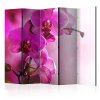 Paraván - Pink orchid II [Room Dividers]