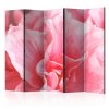 Paraván - Pink azalea flowers II [Room Dividers]