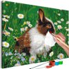 Maľovanie podľa čísiel - Rabbit in the Meadow
