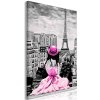 Obraz - Paris Colour (1 Part) Vertical Pink