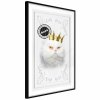 Plagát - The King Cat [Poster]