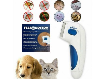 kills fleas oroti blecham