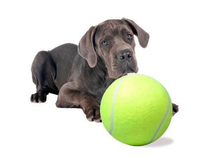 Zabawka dla psa pilka tenisowa gigant XXL 24cm 165419