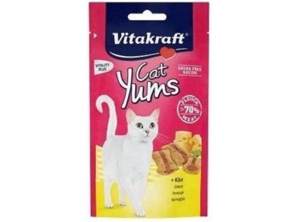 Vit.Cat Yums sýr 40g polštářky