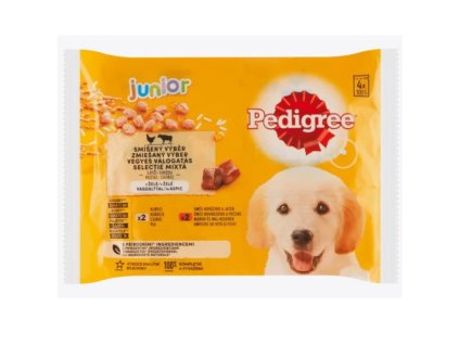 Pedigree 100gx 4ks kapsička junior smíšený výběr v želé dog