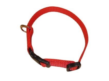 Obojek popruh 1,0x20-35cm-červený