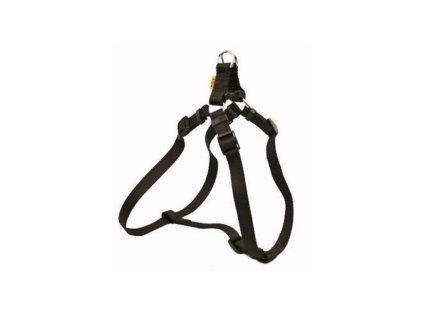 Postroj popruh 2,5cm jednobar.č.5-6 černý