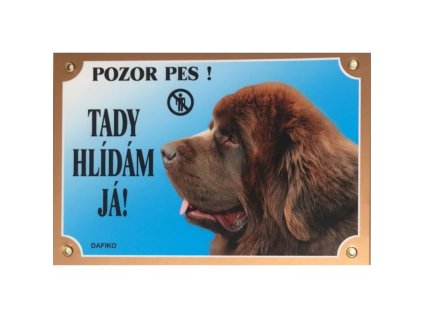Cedulka novofoundlan.pes hnědý
