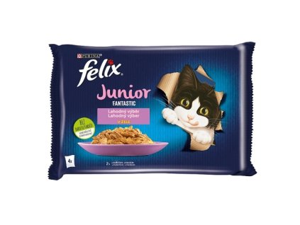 Felix Fantastic 85gx4ks kaps.JUNIOR kuře+losos v želé/12ks