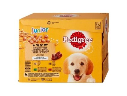Pedigree 100gx10+2ks kapsička junior-krabice 4druhy v želé dog AKCE