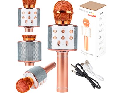 Bezdrátový mikrofon WFI