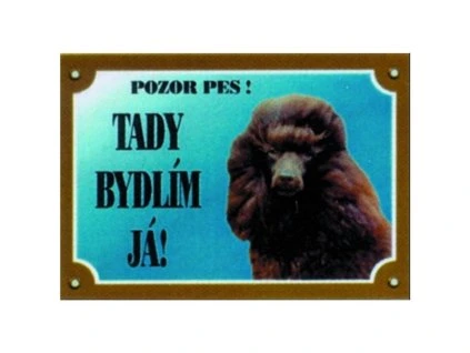 Cedulka pudl hnědý AKCE