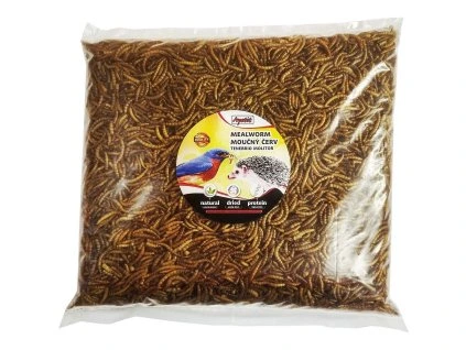 Apetit Mealworm moučný červ 500g