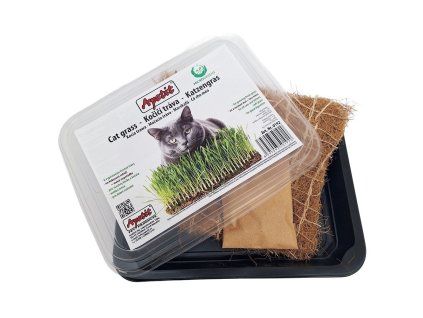 Apetit kočičí tráva