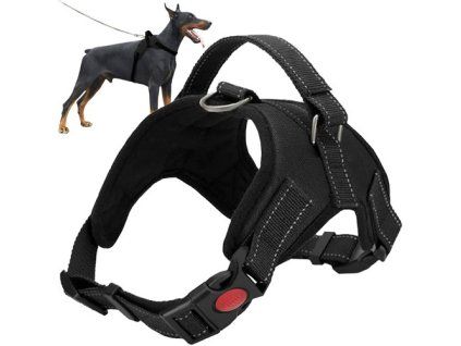 Beztlaký postroj pro psa L