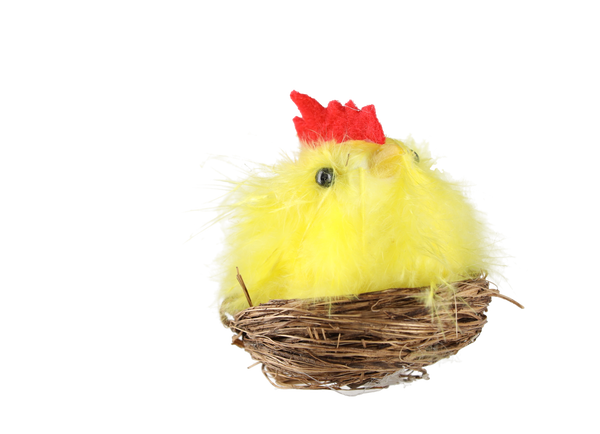 Sada 12 velikonočních kuřátek, mix barev