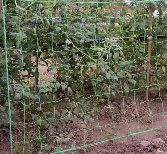 Síť - podpora rostlin 2x20m Gardlov 23980