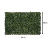 umely zivy plot buxus 1