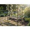 Zahradní pergola s lavičkou 123 x 63 x 252 cm antická bronzová