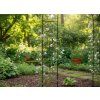 ZAHRADNÍ PERGOLA 145 x 38 x 240 CM