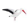 Bocian křídlový *6053*