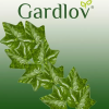 Umělý břečťan - girlanda 25,2 m Gardlov 19735