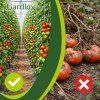 Sponky - špendlíky na rostliny - 108 ks. Gardlov 22586